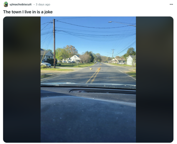 A post from reddit showing chickens crossing a literal road with the caption “The town I live in is a joke”