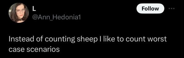 Screenshot of a social post by '@Ann_Hedonia1' on the social platform 'X' that says: 'Instead of counting sheep I like to count worst case scenarios'