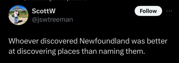 Screenshot of a social post by '@jswtreeman' on the social platform 'X' that says: 'Whoever discovered Newfoundland was better at discovering places than naming them.'