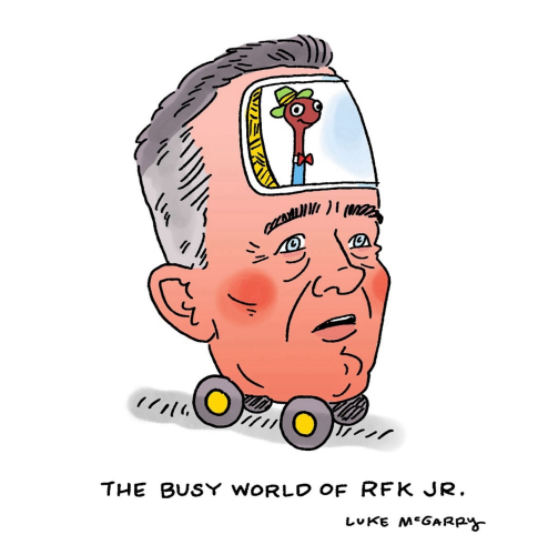 Picture by Luke McGarry of RFK Jr’s head as a car being driven by a worm in the style of Richard Scarry.