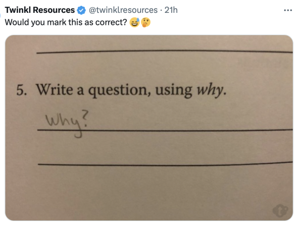 Screenshot of a social post by '@twinklresources' on the social platform 'X' that says: 'Would you mark this as correct? 😅🤔' Attached is a photo of schoolwork that asks the student: 'Write a question, using why.' In response, the student wrote, "why?" 