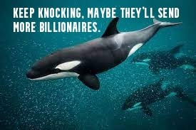 pod or orca, captioned: Keep knocking, maybe they'll send more billionaires.