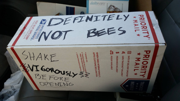 A photo of a USPS Priority Mail box.

On one side, the words “definitely not bees” are handwritten several times, to give the appearance of bold text.

On another side, the words “shake vigorously before opening” are handwritten. “Vigorously” is similarly bolded, and flanked by squiggly lines, seemingly to convey the idea of motion.

The actual contents of the box are unclear, and may or may not be bees.