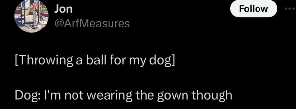 @ArfMeasures:
[Throwing a ball for my dog]
Dog: I'm not wearing the gown though 