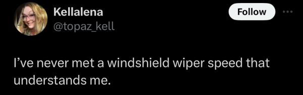 Screenshot of a social post by '@topaz_kell' on the social platform 'X' that says: 'I’ve never met a windshield wiper speed that understands me.'