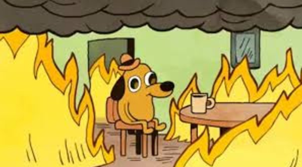 "This is fine meme" with a dog sitting in a burning room and drinking coffee