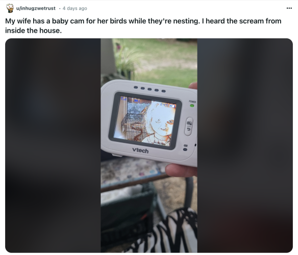 Screenshot of a Reddit post that says: 'My wife has a baby cam for her birds while they're nesting. I heard the scream from inside the house.' Attached is a baby cam showing an image of Chucky the killer doll.