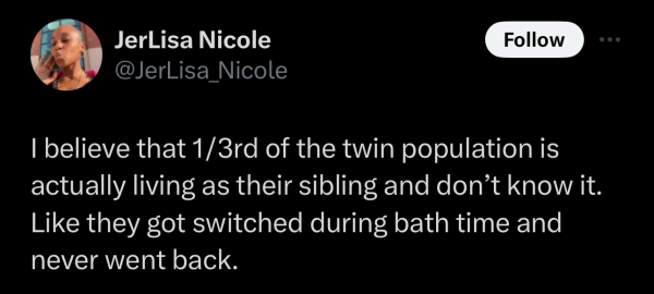 Screenshot of a social post by '@JerLisa_Nicole' on the social platform 'X' that says:: 'I believe that 1/3rd of the twin population is actually living as their sibling and don’t know it. Like they got switched during bath time and never went back.'