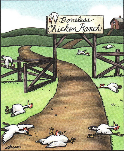 Farside cartoon, sign over gate says "Boneless Chicken Ranch."  Floppy chickens are laying around.