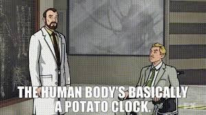 The human body's basically a potato clock