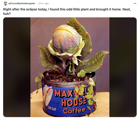 Screenshot of a Reddit post that says: 'Right after the eclipse today, I found this odd little plant and brought it home. Neat, huh?' Attached is a photo of a plant from Little Shop of Horrors.