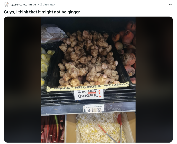 A post from reddit showing turmeric in a grocery store bin labeled “I’M NOT GINGER.” The caption is: “Guys, I think that it might not be ginger.”